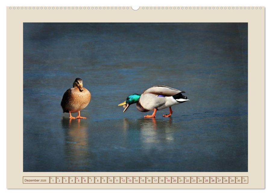 additionalImage3