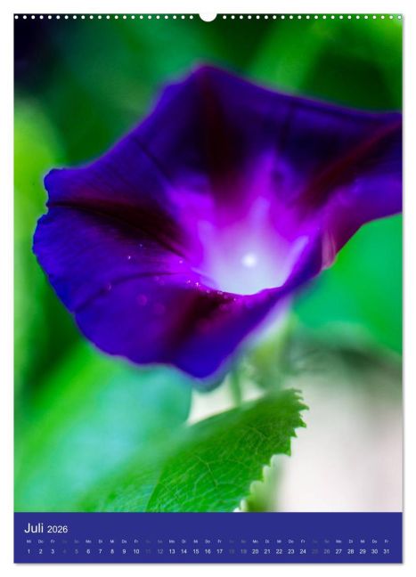 additionalImage11