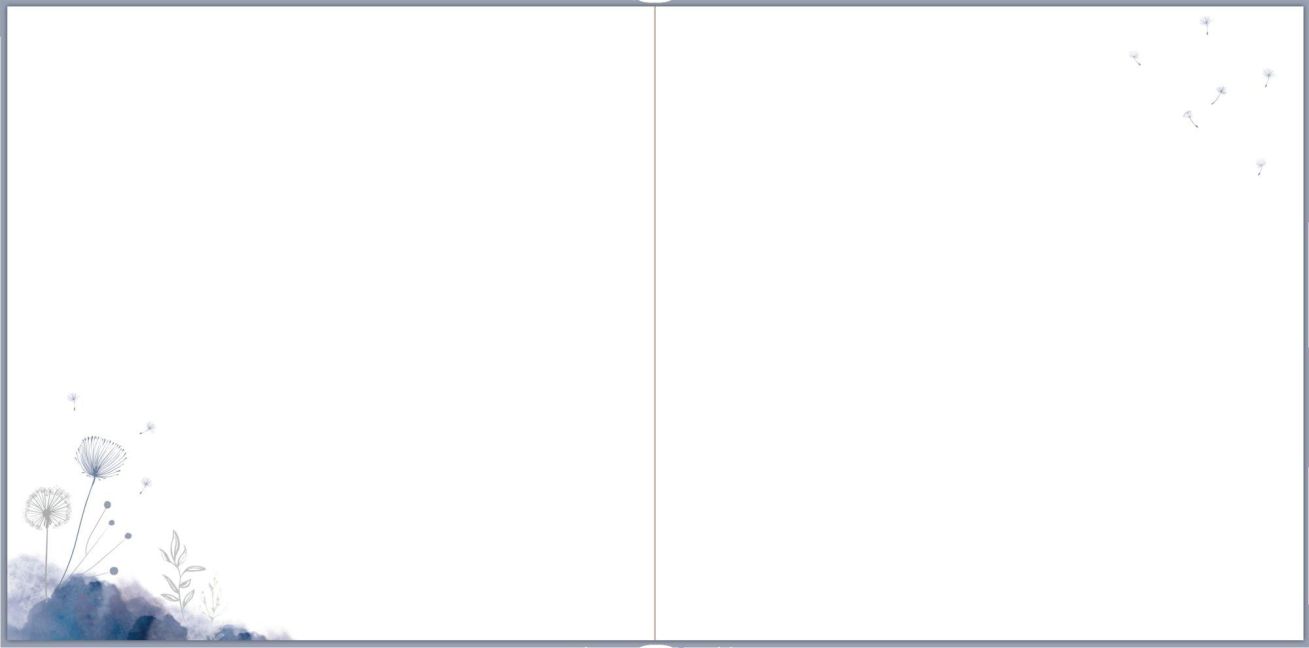 additionalImage2