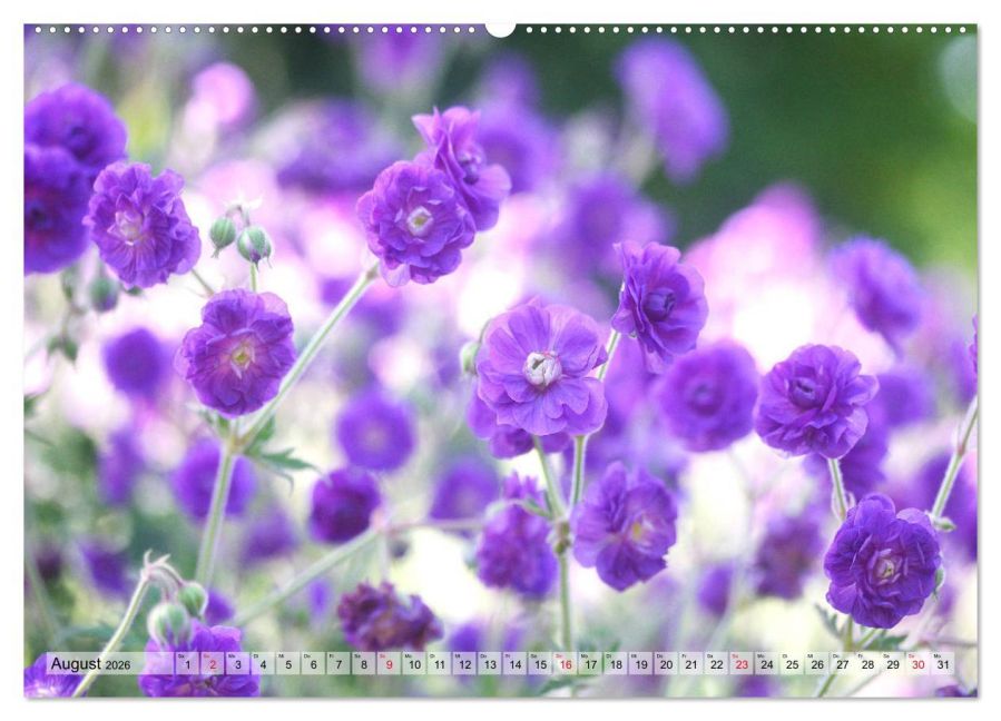 additionalImage12