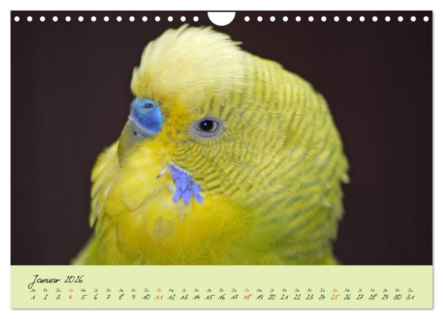 additionalImage6