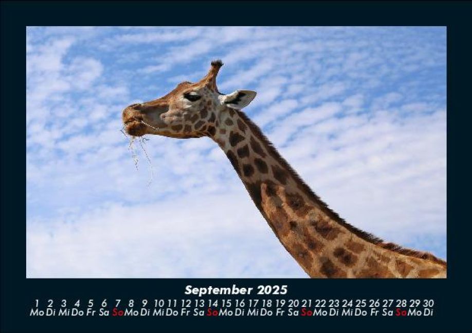 additionalImage1