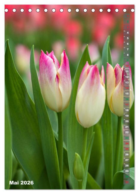 additionalImage10