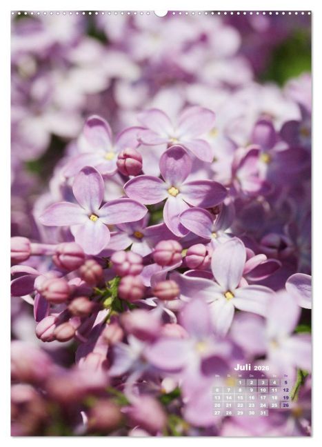 additionalImage12