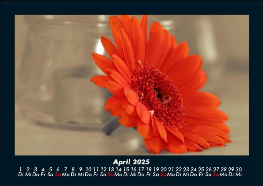 additionalImage8