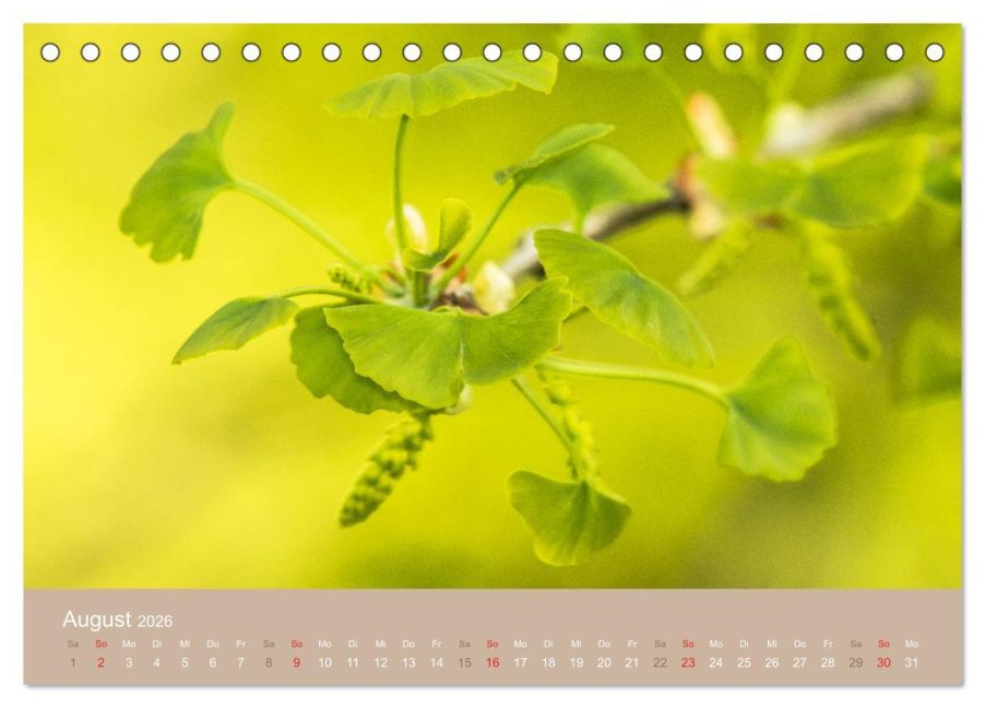additionalImage13