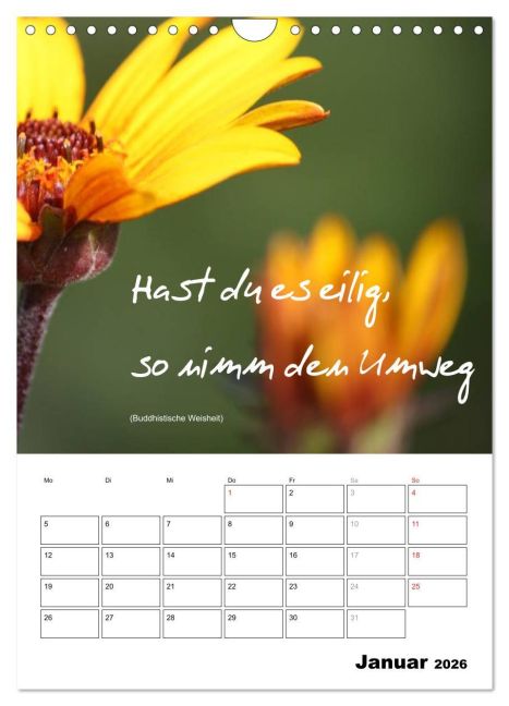 additionalImage6