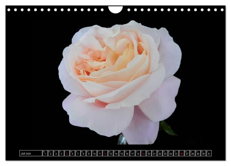 additionalImage12