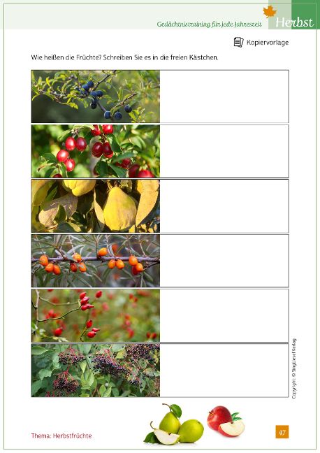 additionalImage6