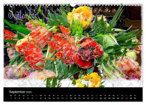 additionalImage14