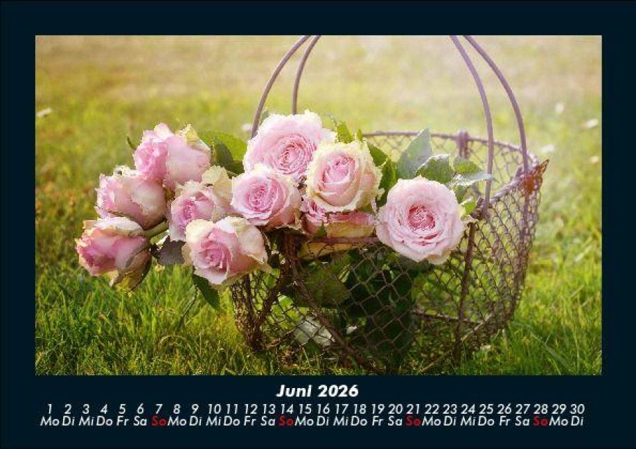 additionalImage10
