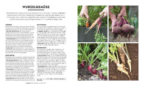 additionalImage6