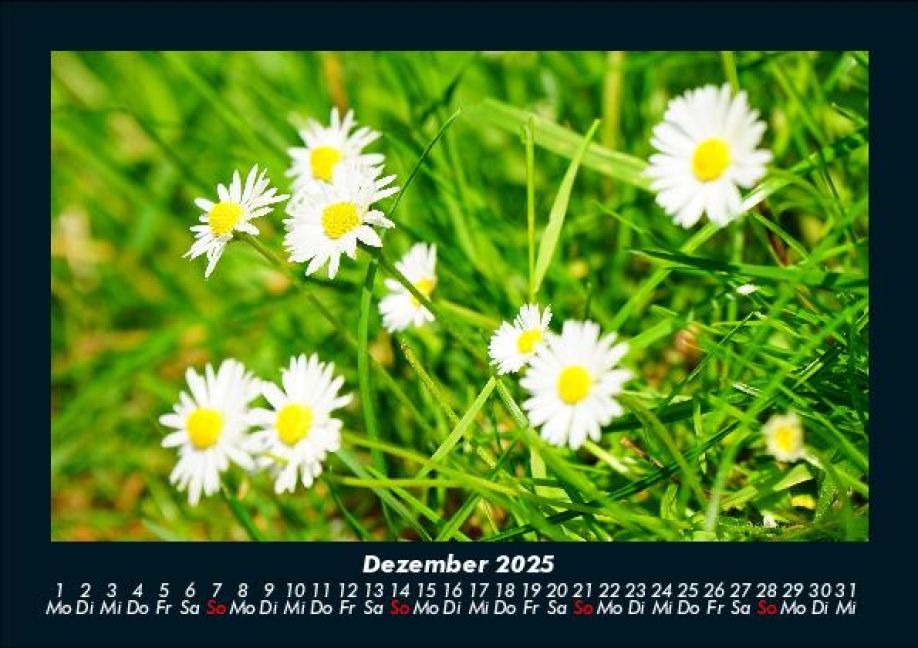 additionalImage4