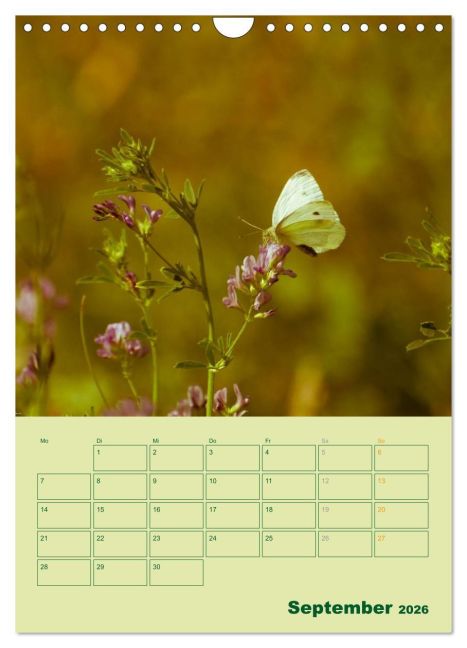 additionalImage14