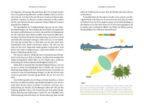 additionalImage6