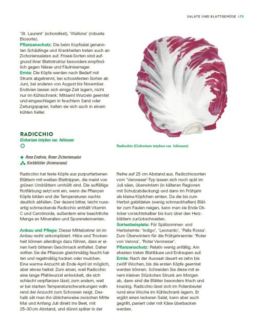 additionalImage11