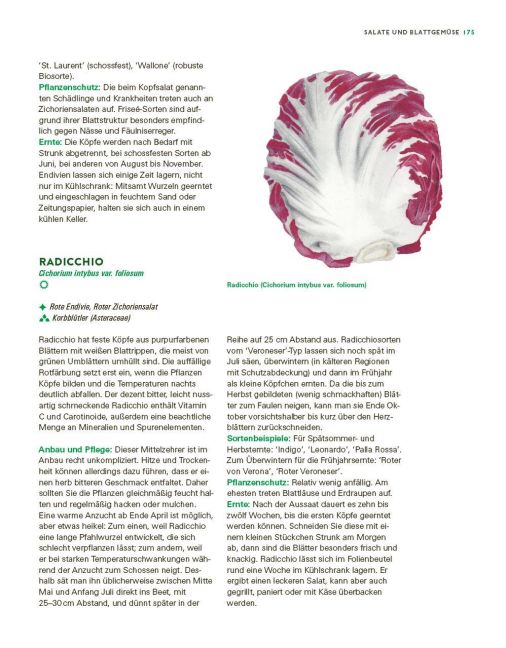additionalImage11