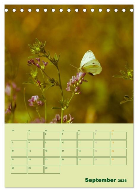 additionalImage14