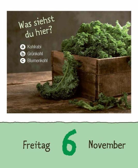 additionalImage14