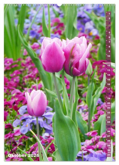 additionalImage1