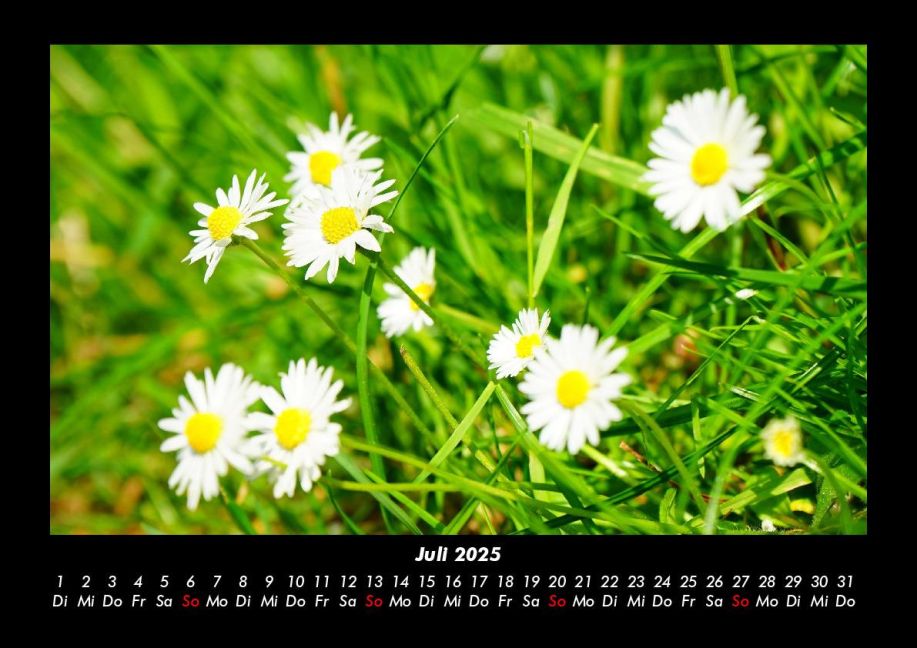additionalImage11