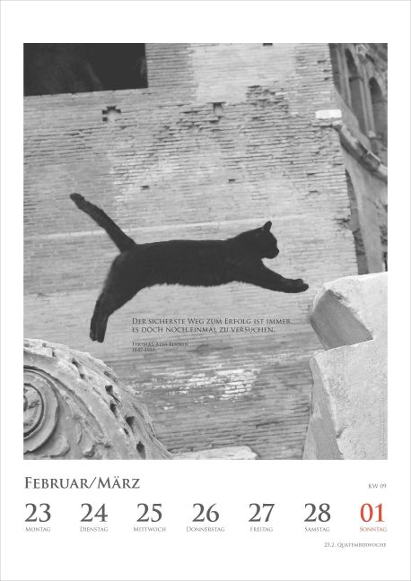 additionalImage9
