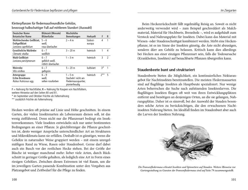 additionalImage3