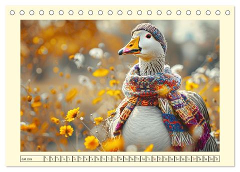 additionalImage12