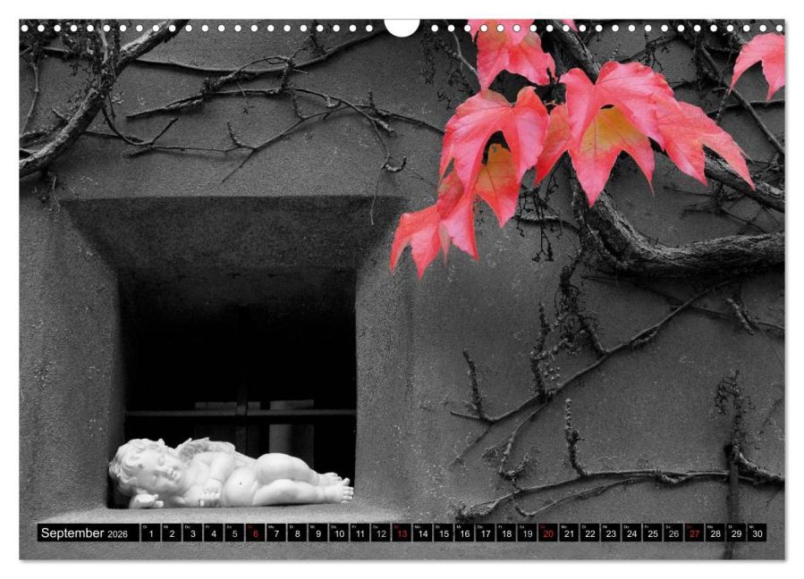 additionalImage14