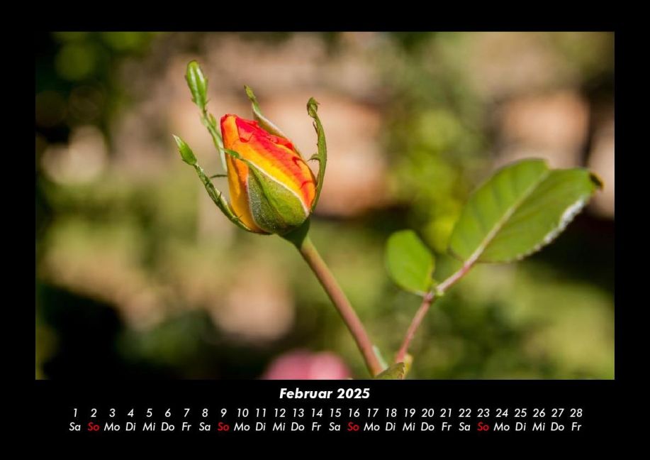 additionalImage6