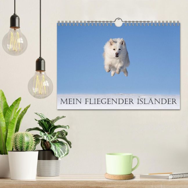additionalImage1
