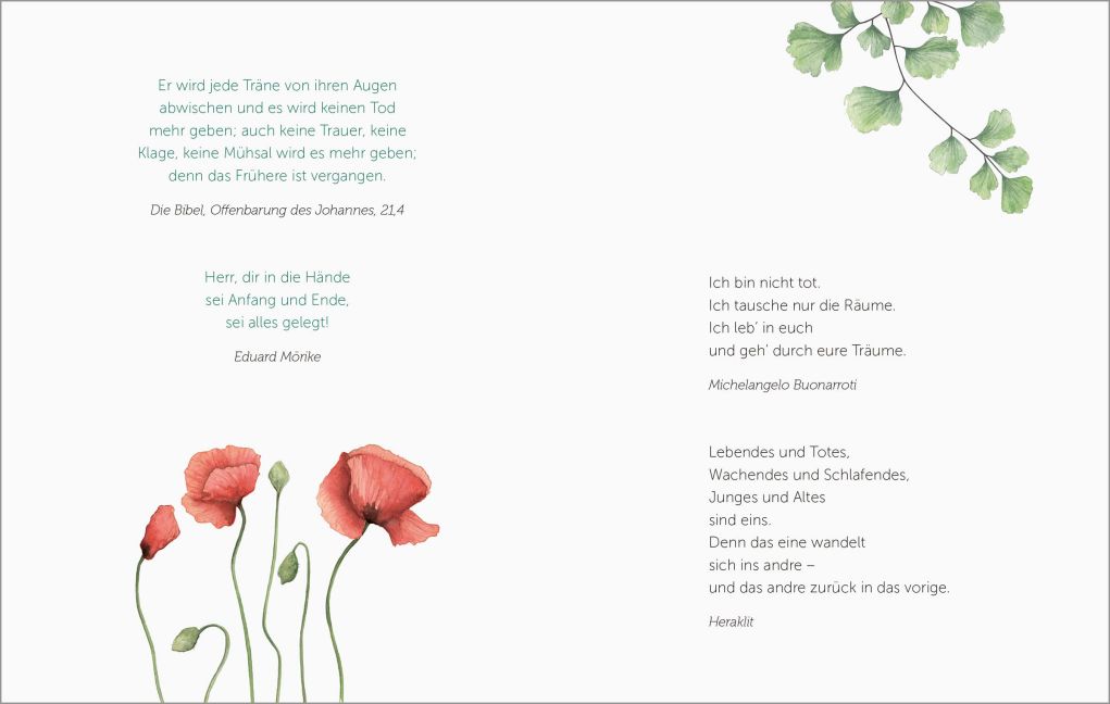 additionalImage2