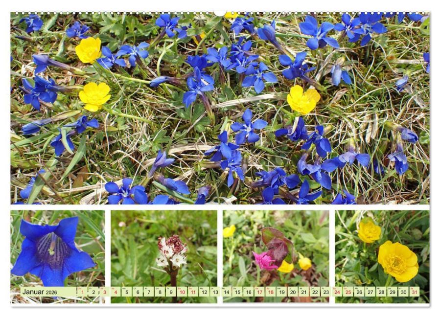 additionalImage6
