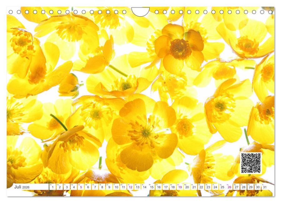 additionalImage12