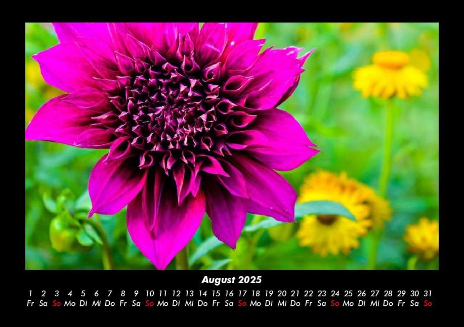 additionalImage12