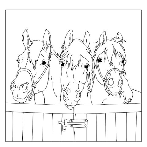 additionalImage1
