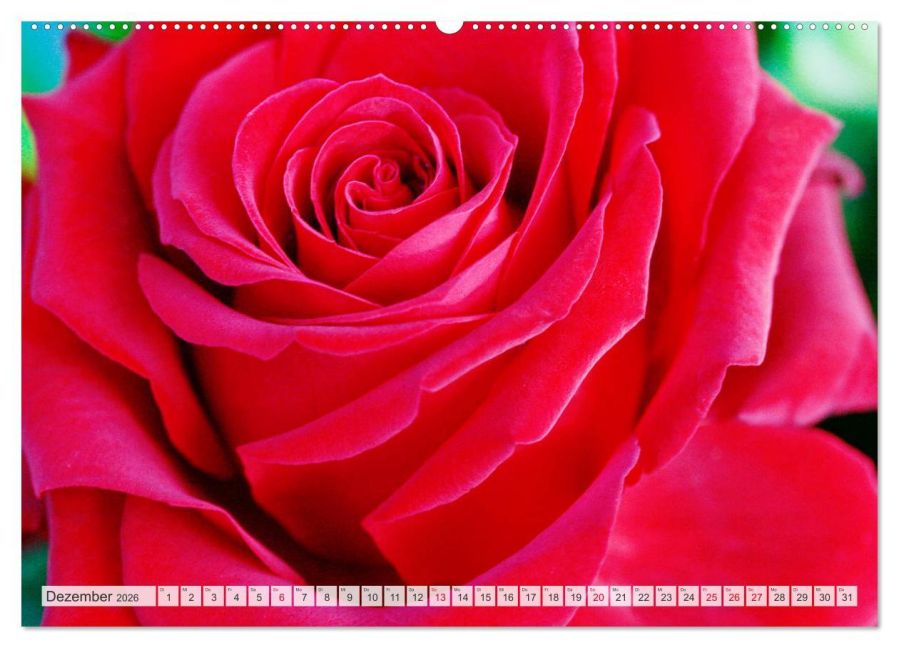 additionalImage4