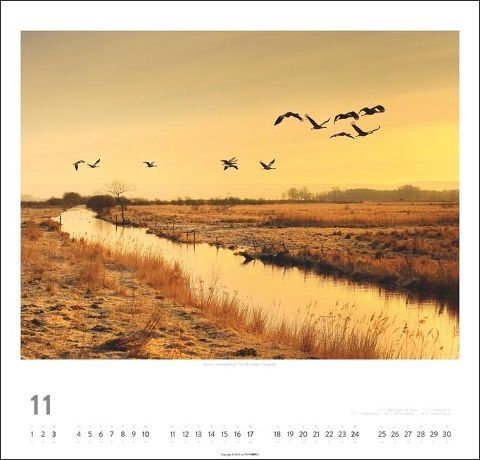 additionalImage12