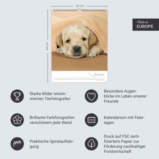 additionalImage14