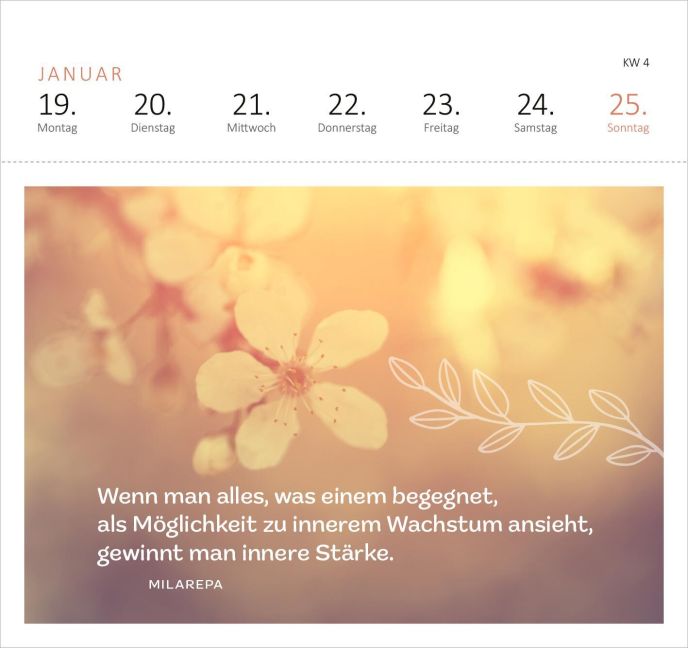 additionalImage4