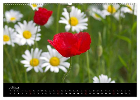 additionalImage12