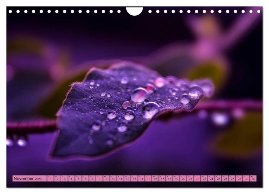 additionalImage3