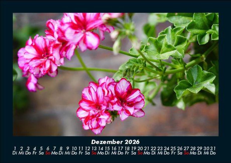 additionalImage4