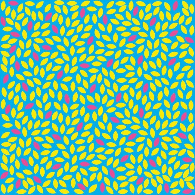 additionalImage8