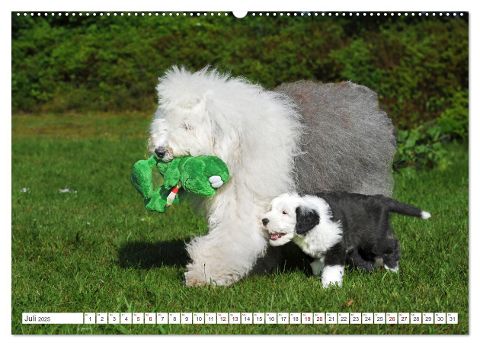 additionalImage11