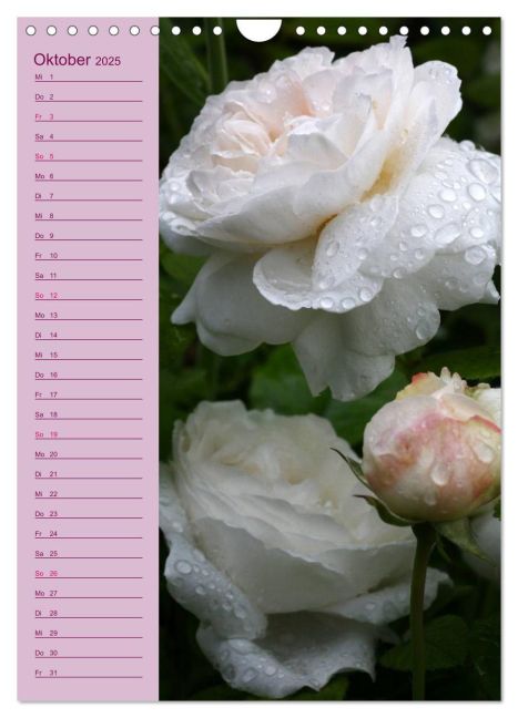 additionalImage2