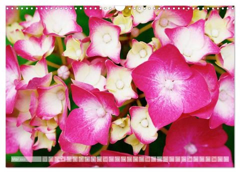 additionalImage3
