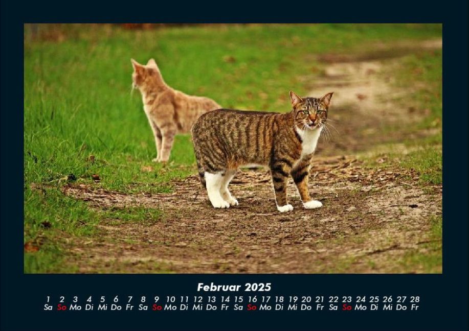 additionalImage6