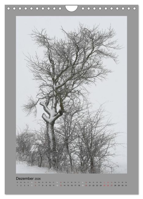 additionalImage4