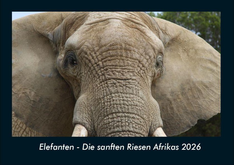 Elefanten - Die sanften Riesen Afrikas 2026 Fotokalender DIN A4 - Tobias Becker